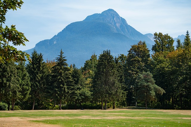 Previous Image